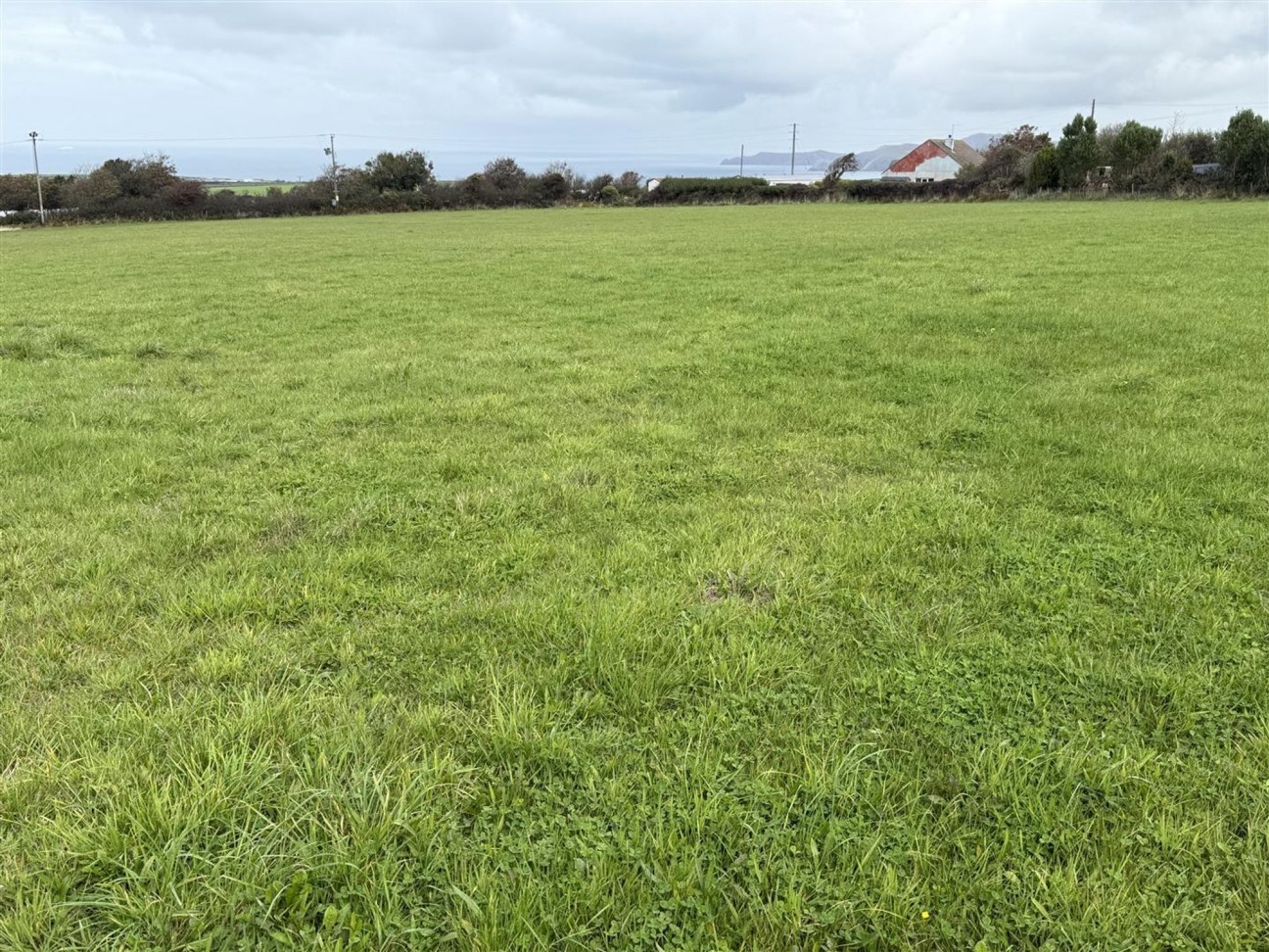 Pasture Land, Square And Compass, SA62