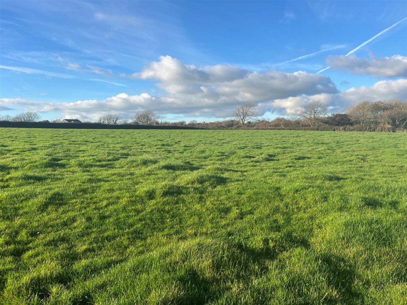 Of Land At Dreenhill, Nr. Haverfordwest, SA62