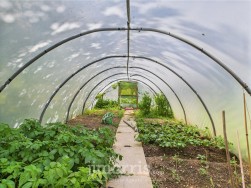 Cwmfelin Mynach, Whitland, SA34