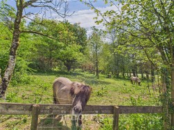 Cwmfelin Mynach, Whitland, SA34