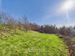 Dinas Cross, Newport, SA42