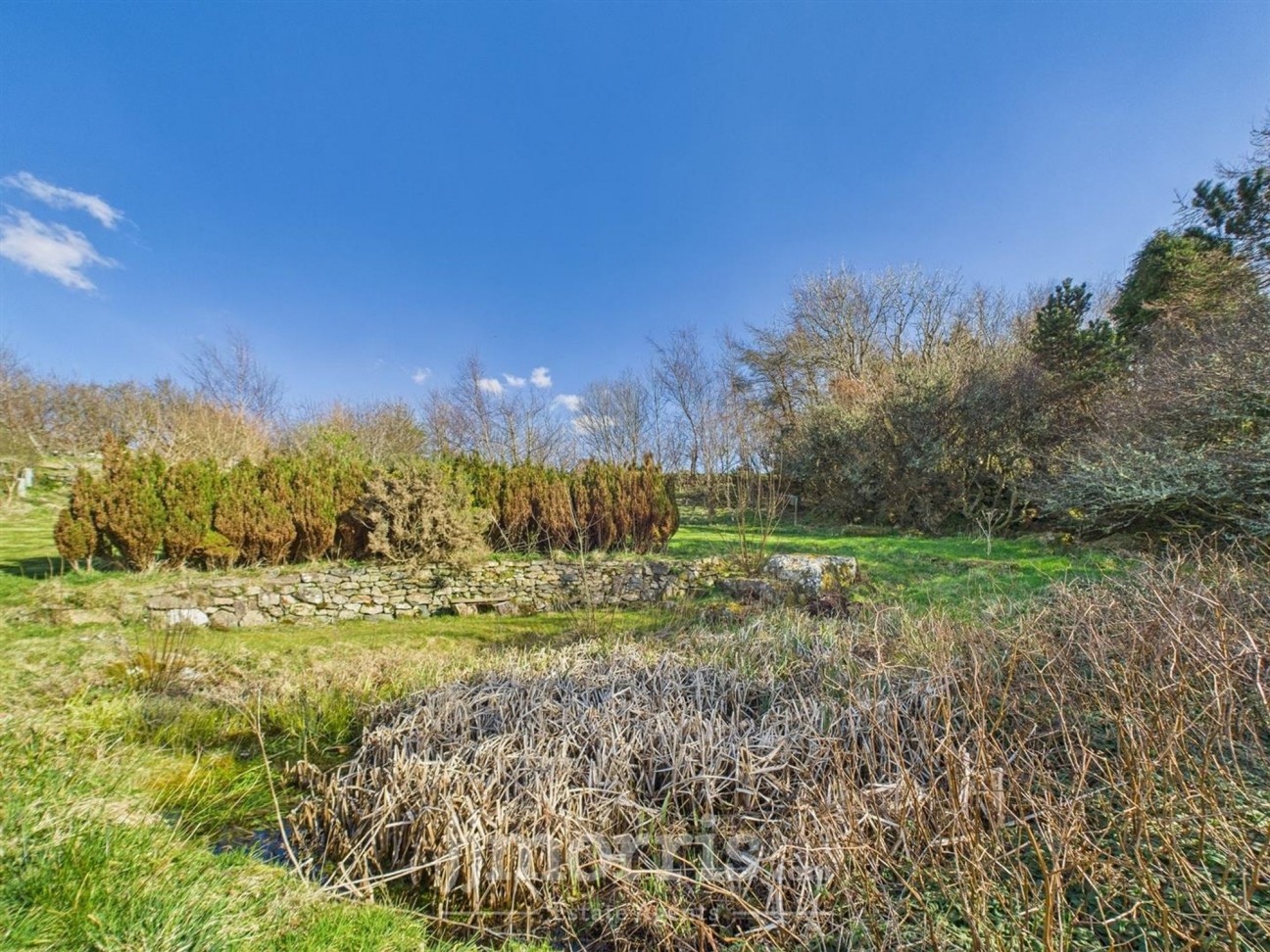 Dinas Cross, Newport, SA42