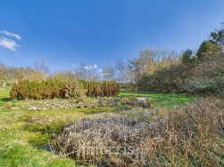 Dinas Cross, Newport, SA42