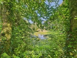 Dwrbach, Fishguard, SA65