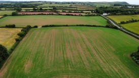 Land, Hodgeston, SA71