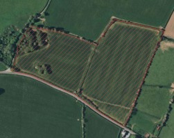 Land, Hodgeston, SA71