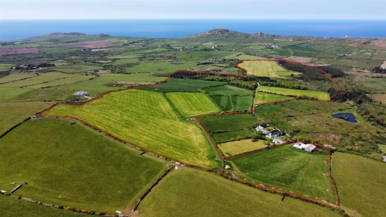 Thereabouts Of Pasture Land And Woodland, Goodwick, SA64