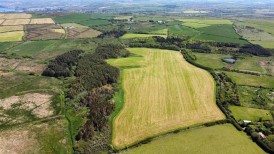 Thereabouts Of Pasture Land And Woodland, Goodwick, SA64