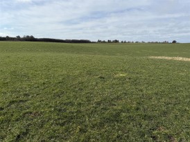 Thereabouts Of Pasture Land And Woodland, Goodwick, SA64