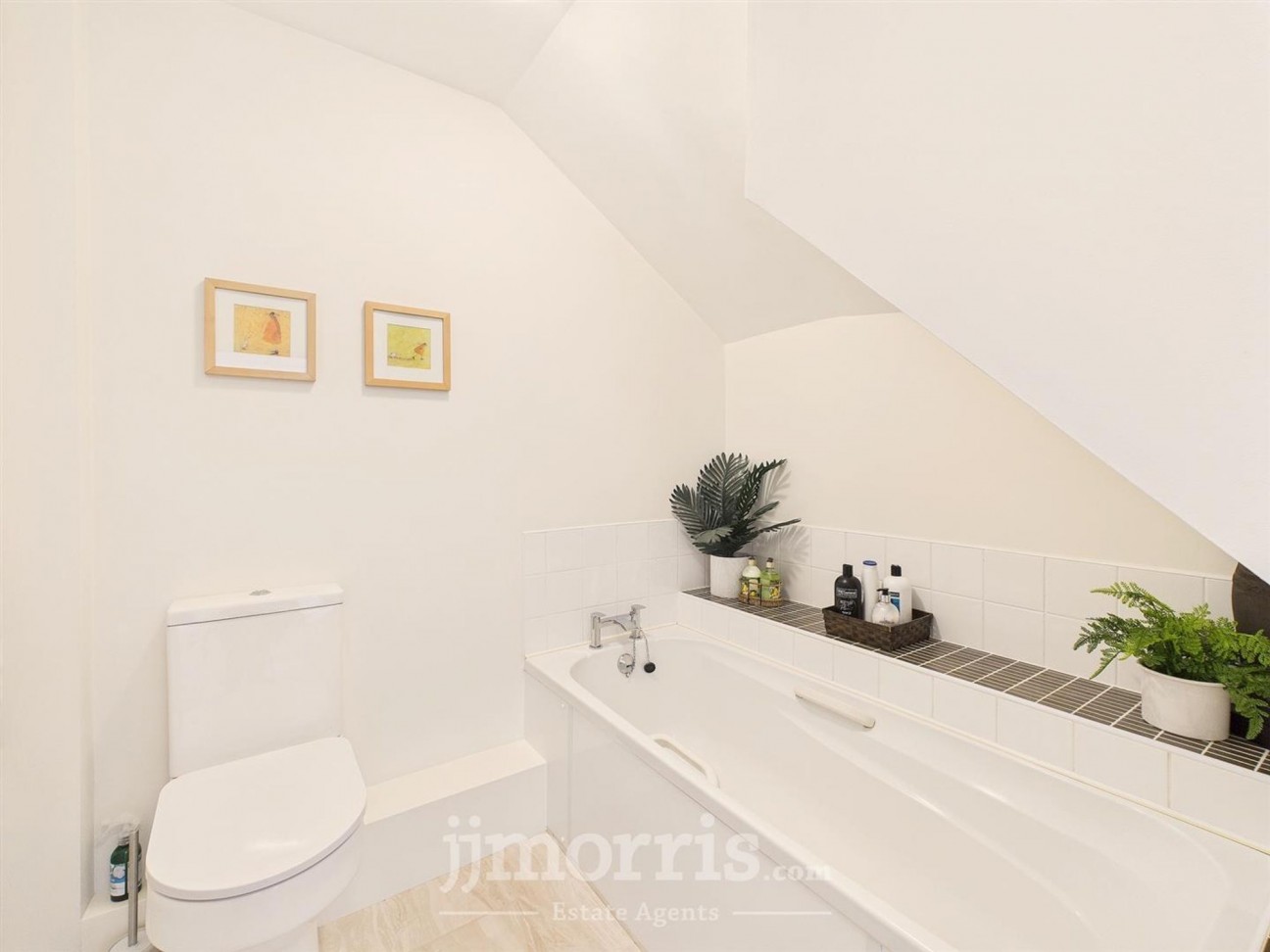 Wilson Meadow, Broad Haven, SA62