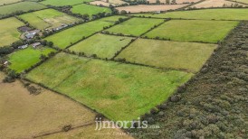 Pantyrhedyn, Tegryn, SA35