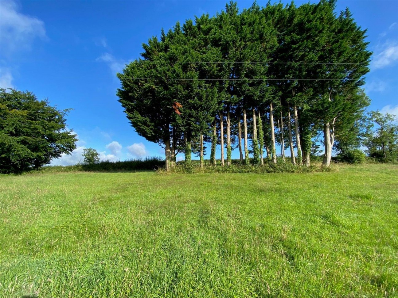 Login, Whitland, SA34