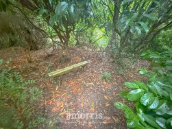 Pentre-Cwrt, Llandysul, SA44