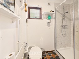 Lon Helyg, Llechryd, SA43