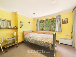 Lon Helyg, Llechryd, SA43