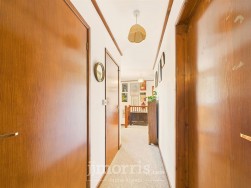 Lon Helyg, Llechryd, SA43