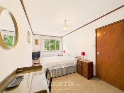 Lon Helyg, Llechryd, SA43