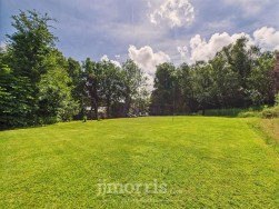 Lon Helyg, Llechryd, SA43