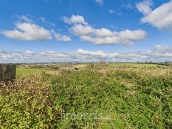 Ashburton Grove, Princes Gate, SA67