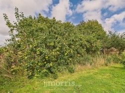 Landshipping, Narberth, SA67