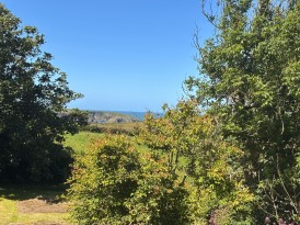 North End, Trefin, SA62