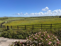 North End, Trefin, SA62