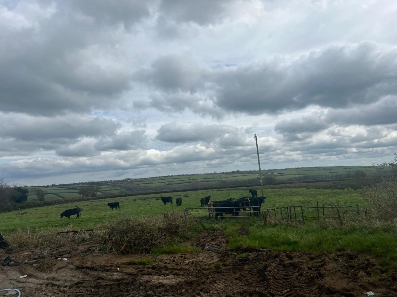 Llangolman, Clynderwen, SA66