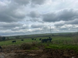 Llangolman, Clynderwen, SA66