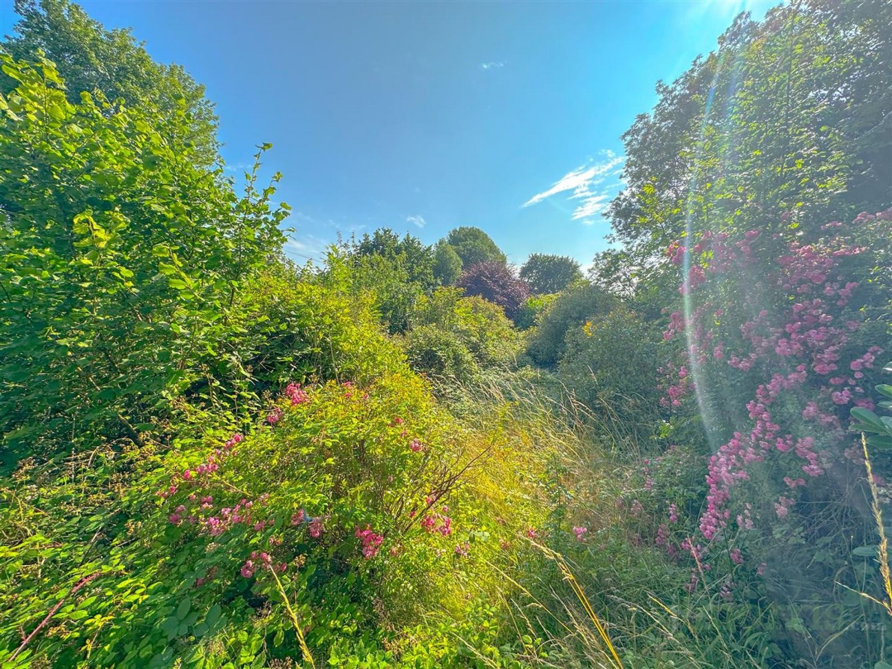 Rhydlewis, Llandysul, SA44