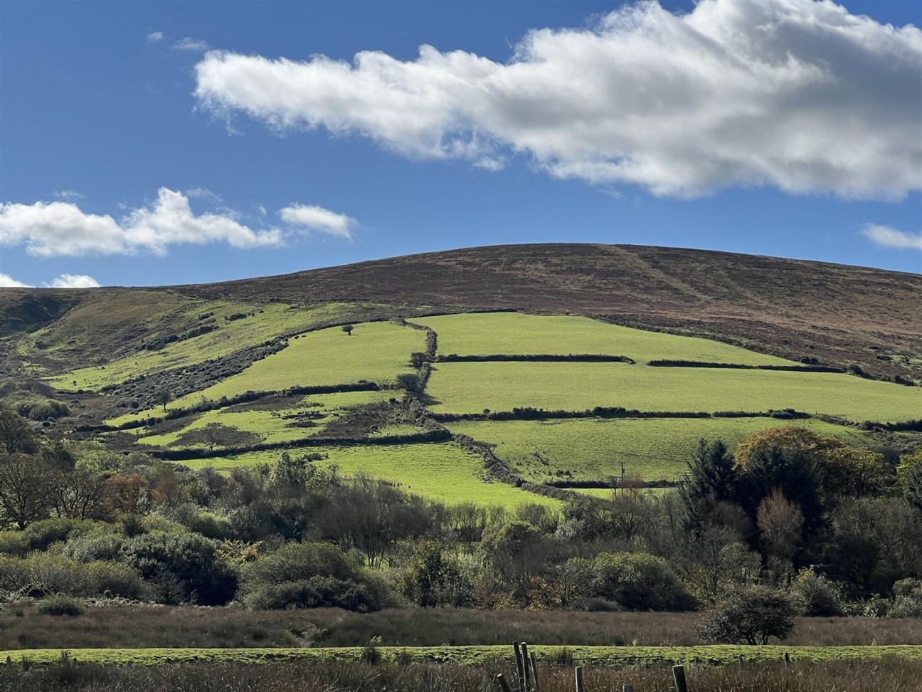 Puncheston, Haverfordwest, SA66