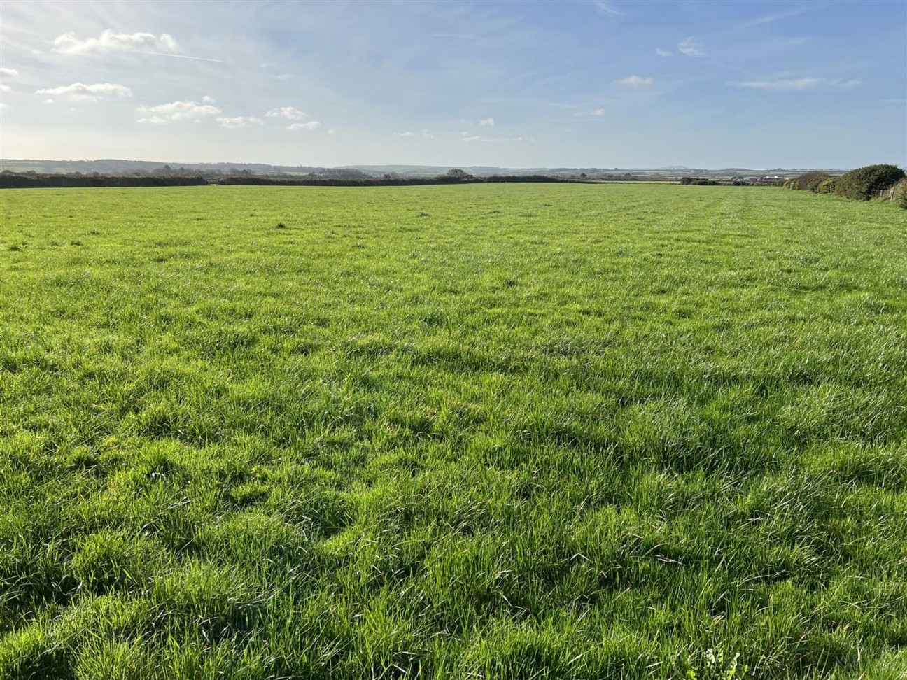 Treffynnon, Haverfordwest, SA62