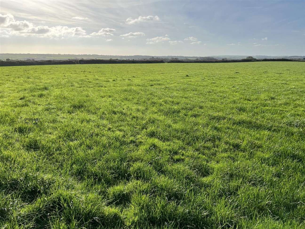 Treffynnon, Haverfordwest, SA62