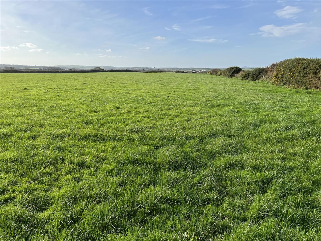 Treffynnon, Haverfordwest, SA62