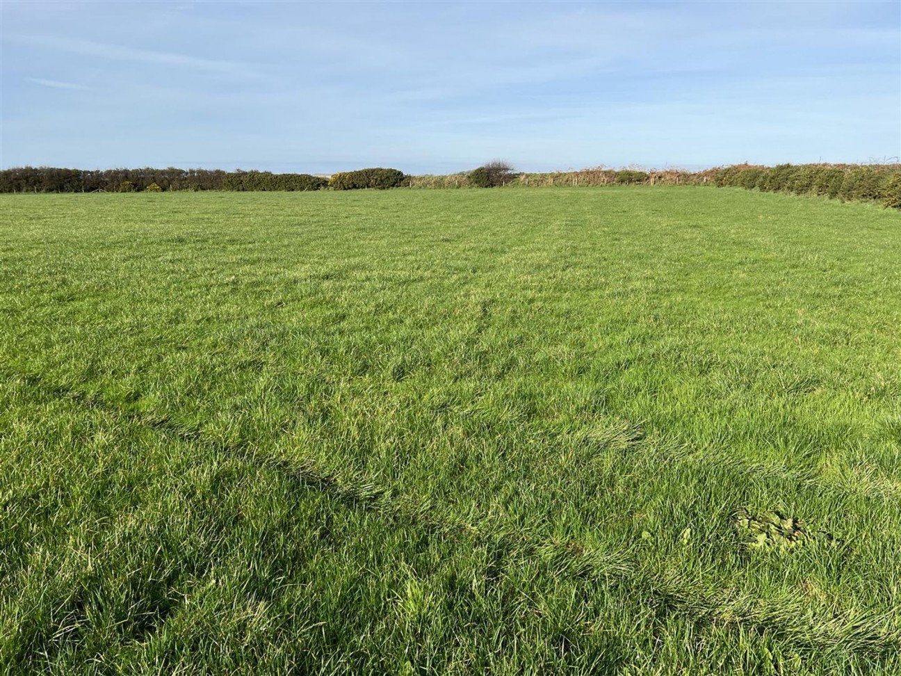 Treffynnon, Haverfordwest, SA62