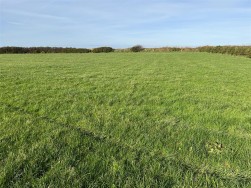 Treffynnon, Haverfordwest, SA62