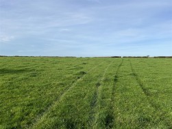 Treffynnon, Haverfordwest, SA62