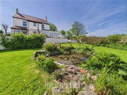 Dinas Cross, Newport, SA42