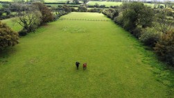 Cold Blow, Narberth, SA67