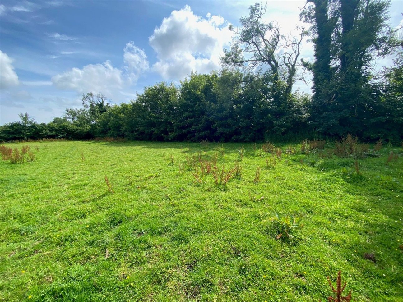 Cold Blow, Narberth, SA67