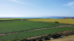 Land At Nolton Haven, Haverfordwest, SA62