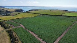 Land At Nolton Haven, Haverfordwest, SA62