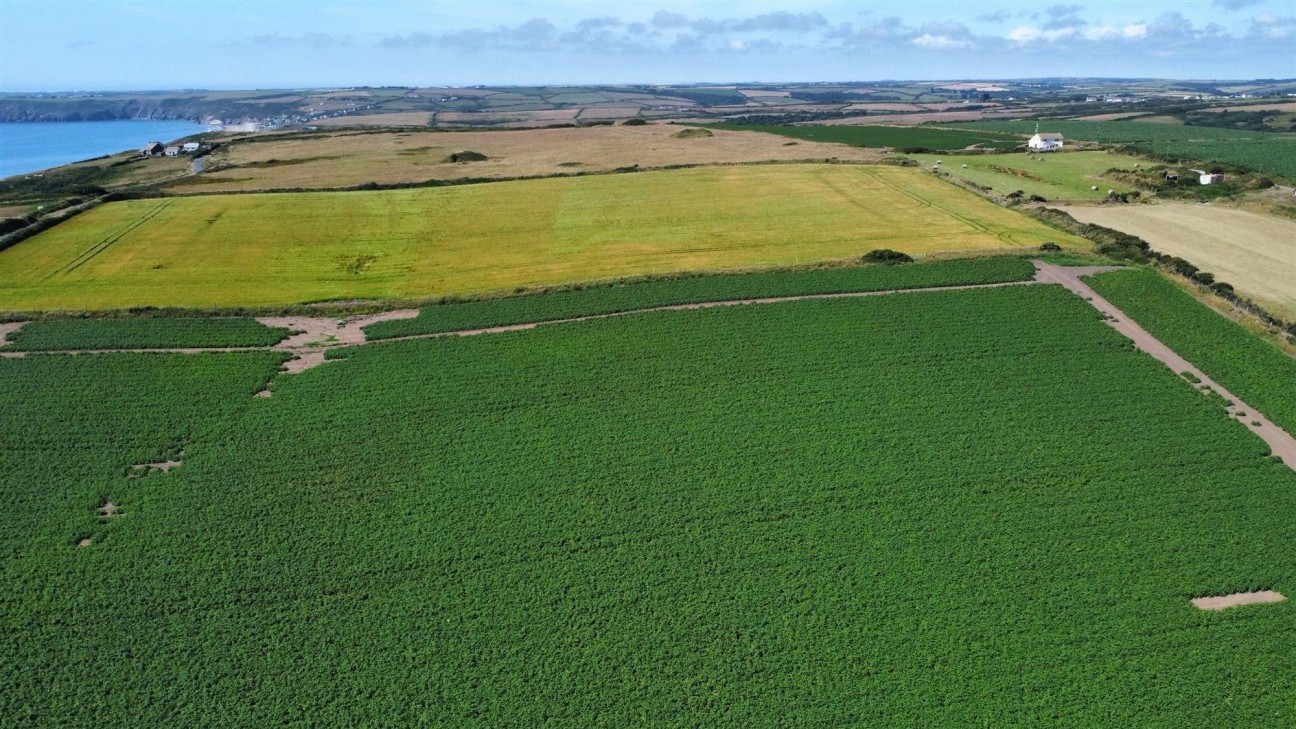 Land At Nolton Haven, Haverfordwest, SA62