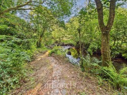 Brynberian, Crymych, SA41