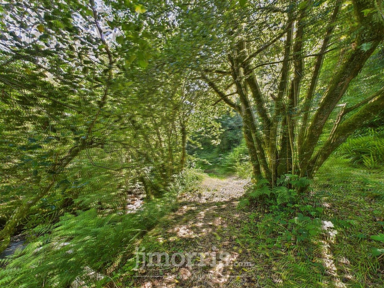 Brynberian, Crymych, SA41