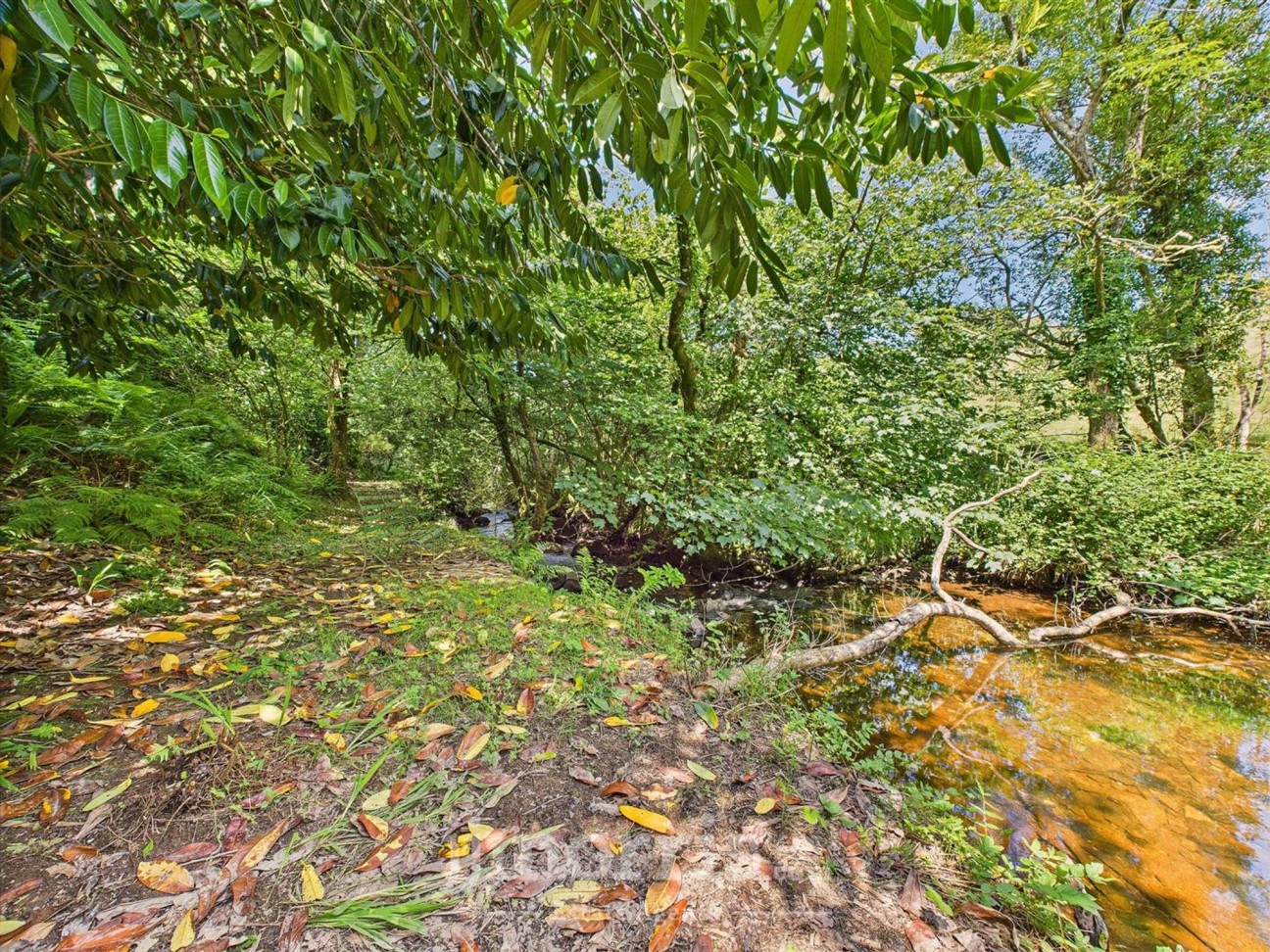 Brynberian, Crymych, SA41