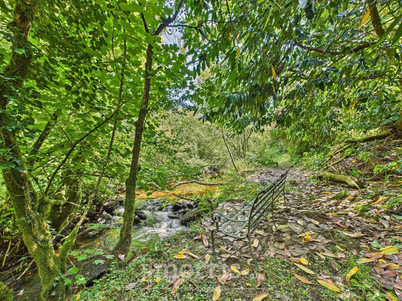 Brynberian, Crymych, SA41