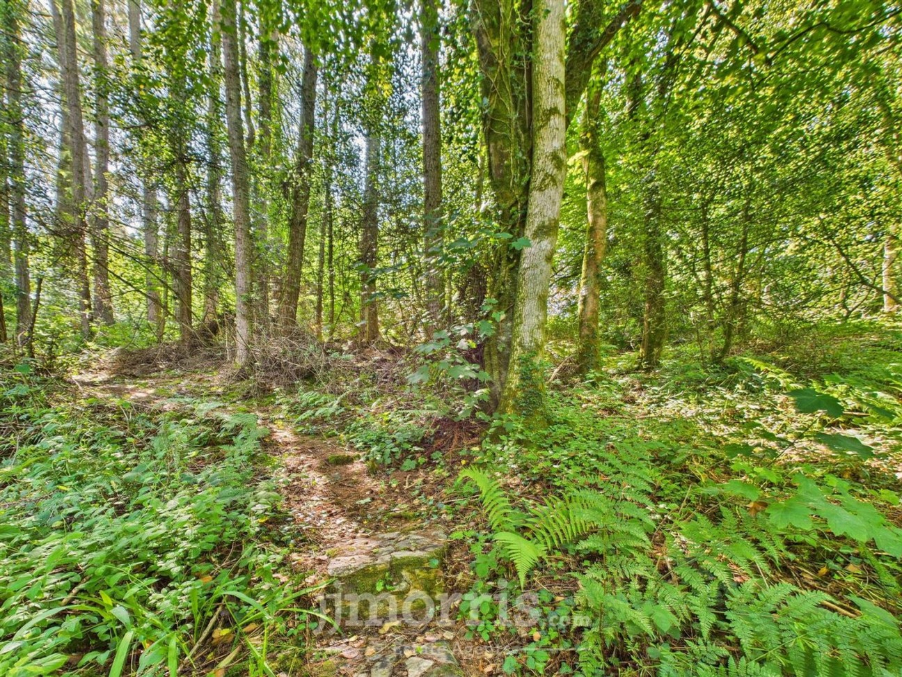 Brynberian, Crymych, SA41