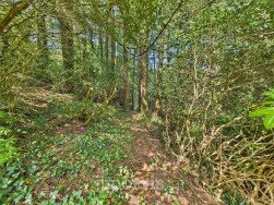 Brynberian, Crymych, SA41