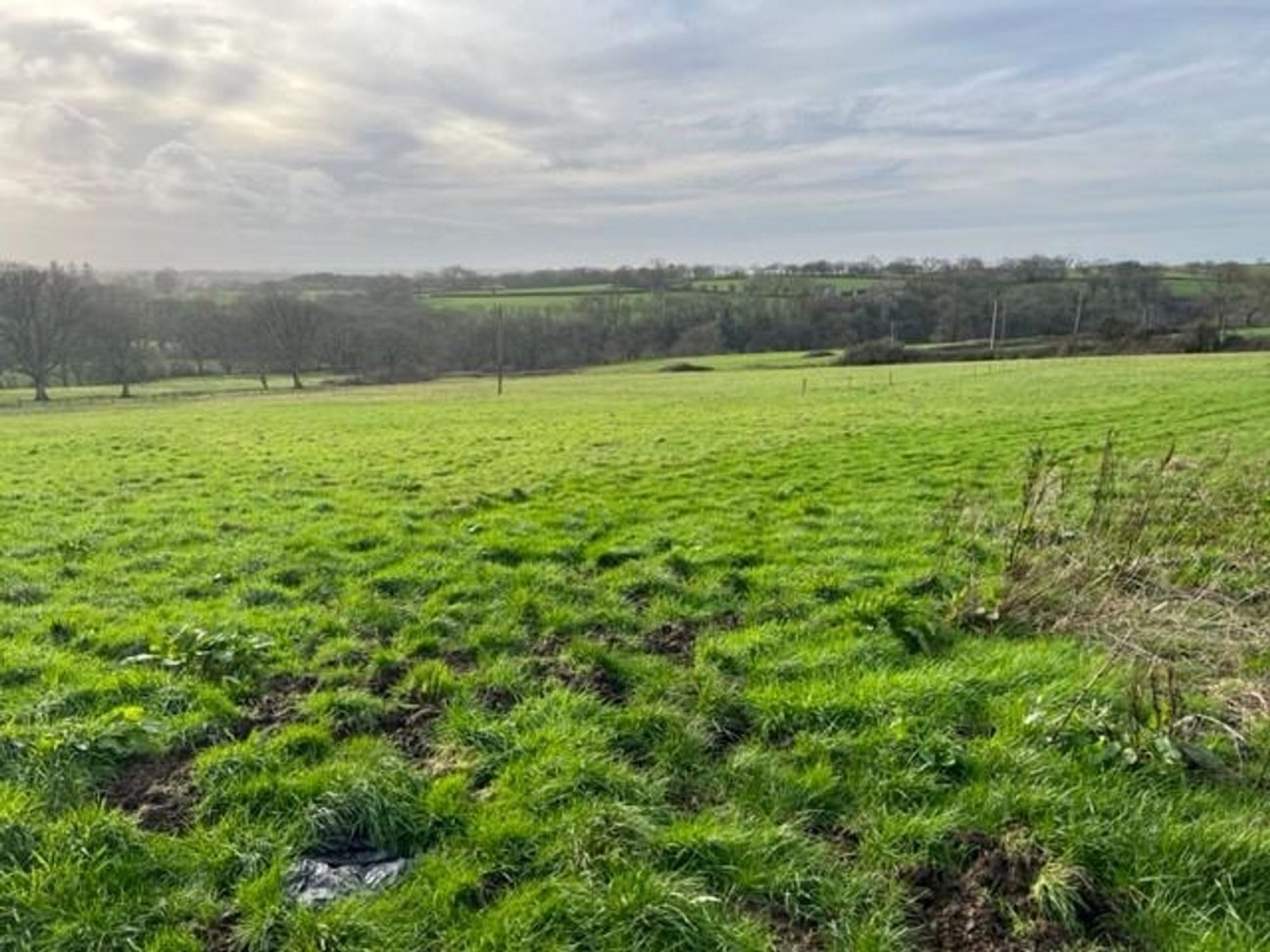 Near Ffosyteilwr, Llangoedmor, SA43