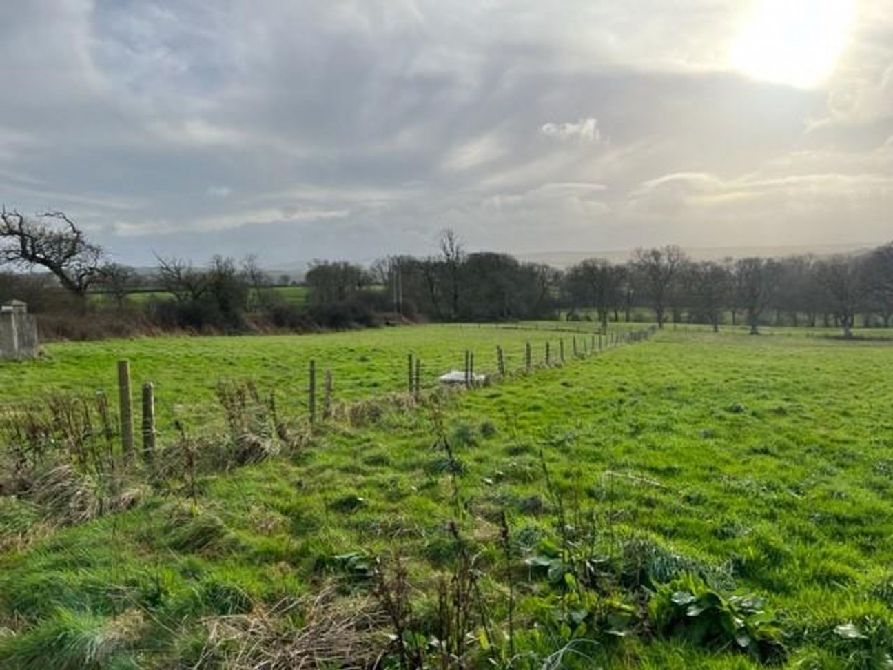 Near Ffosyteilwr, Llangoedmor, SA43